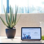 Des plantes pour son bureau