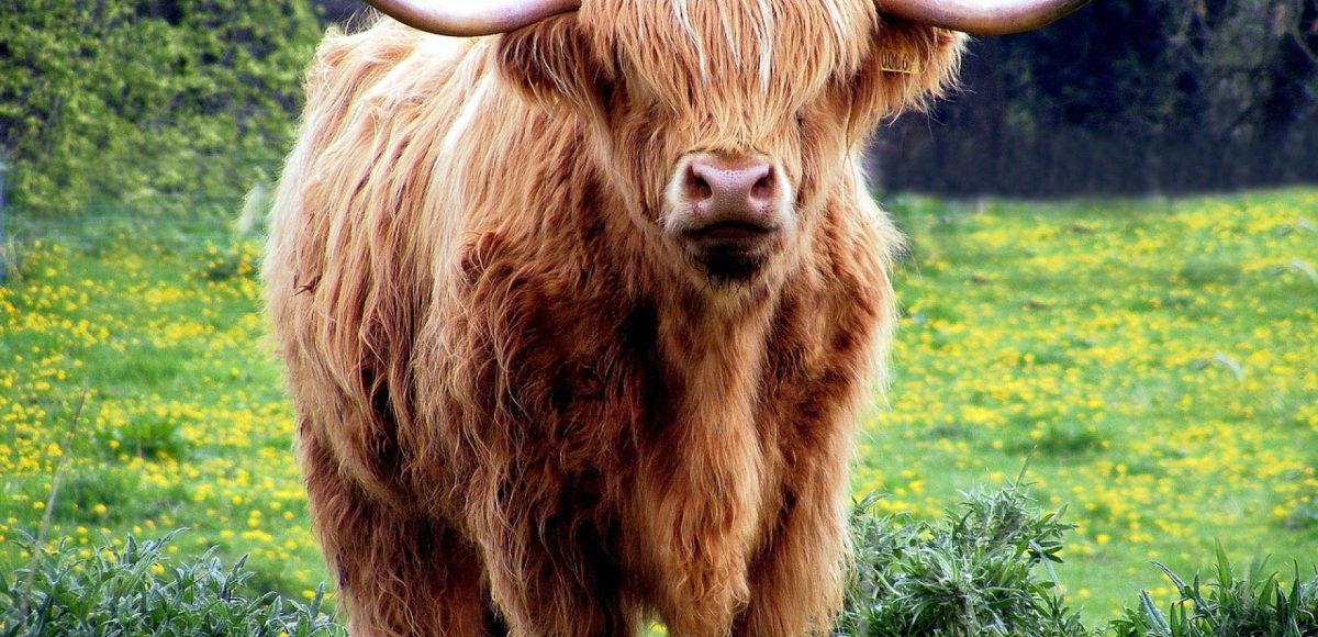 Équipez votre exploitation agricole à moindre coût