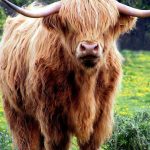 Équipez votre exploitation agricole à moindre coût