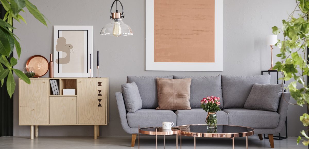 Salon moderne et cosy