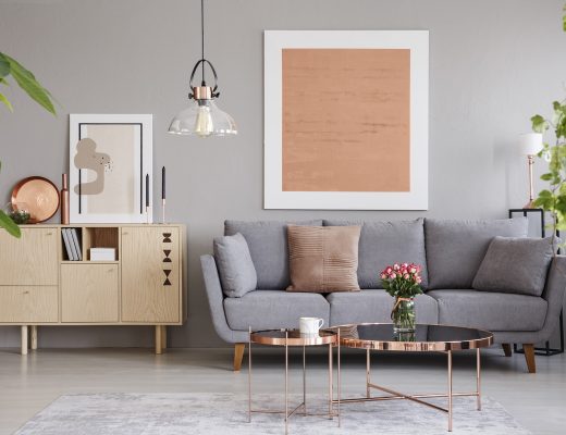 Salon moderne et cosy